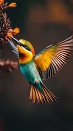 Vogel 03